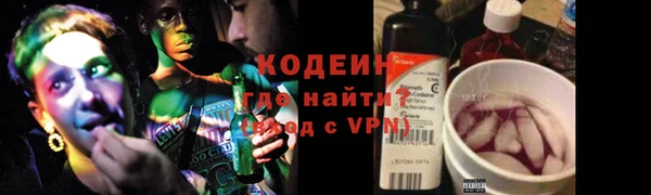 дурь Осташков