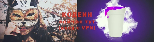 дурь Осташков