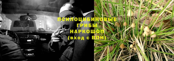 дурь Осташков