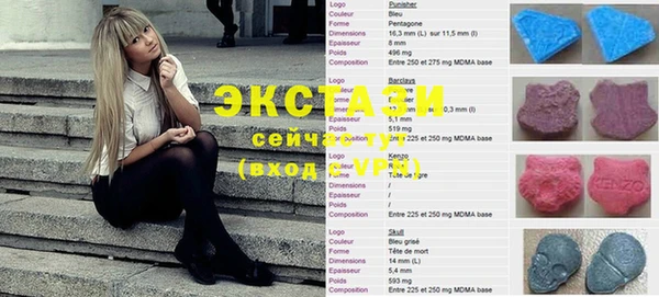 ECSTASY Осинники